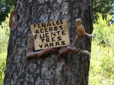 Chorranca y Silla del Rey, Cerro del Moño de la Tía Andrea;rutas en bici pantalones de montaña zapat